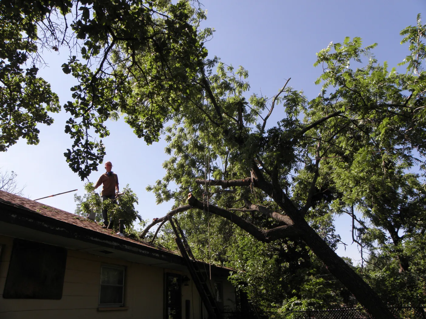 Tree on Roof Removal