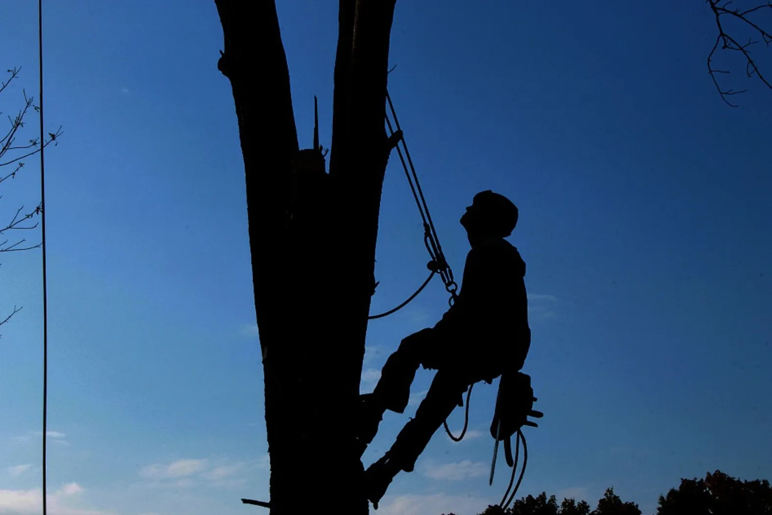 Arborist silhouette working at height